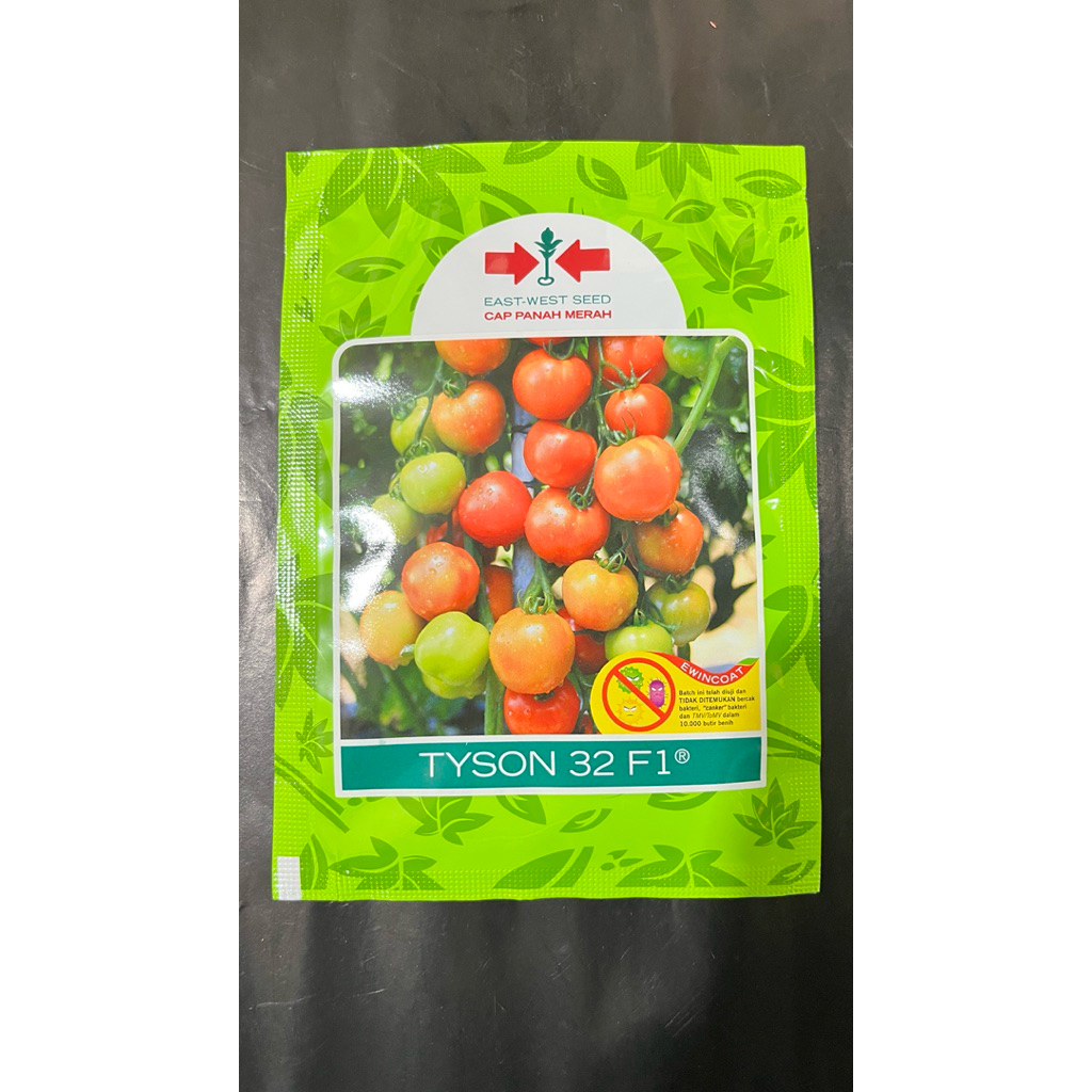Benih Tomat Tyson 32 F1 1.750’s