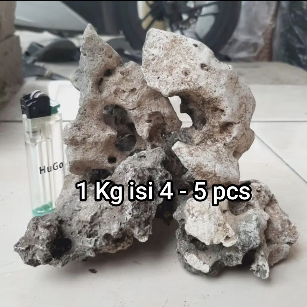 Batu karang bolong gunung untuk aquascape, bonsai, mame ukuran S kiloan