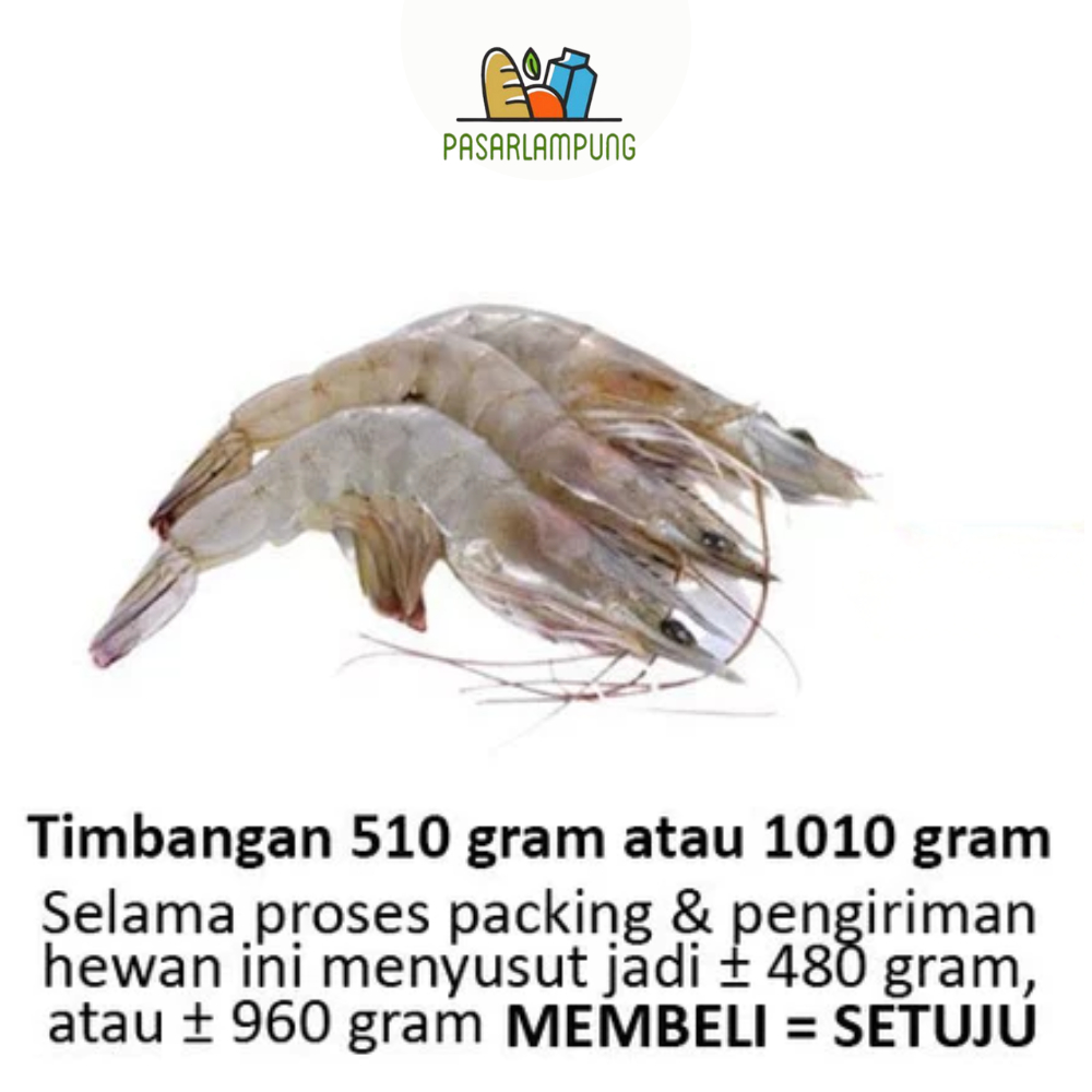 Udang Segar Pasar Lampung