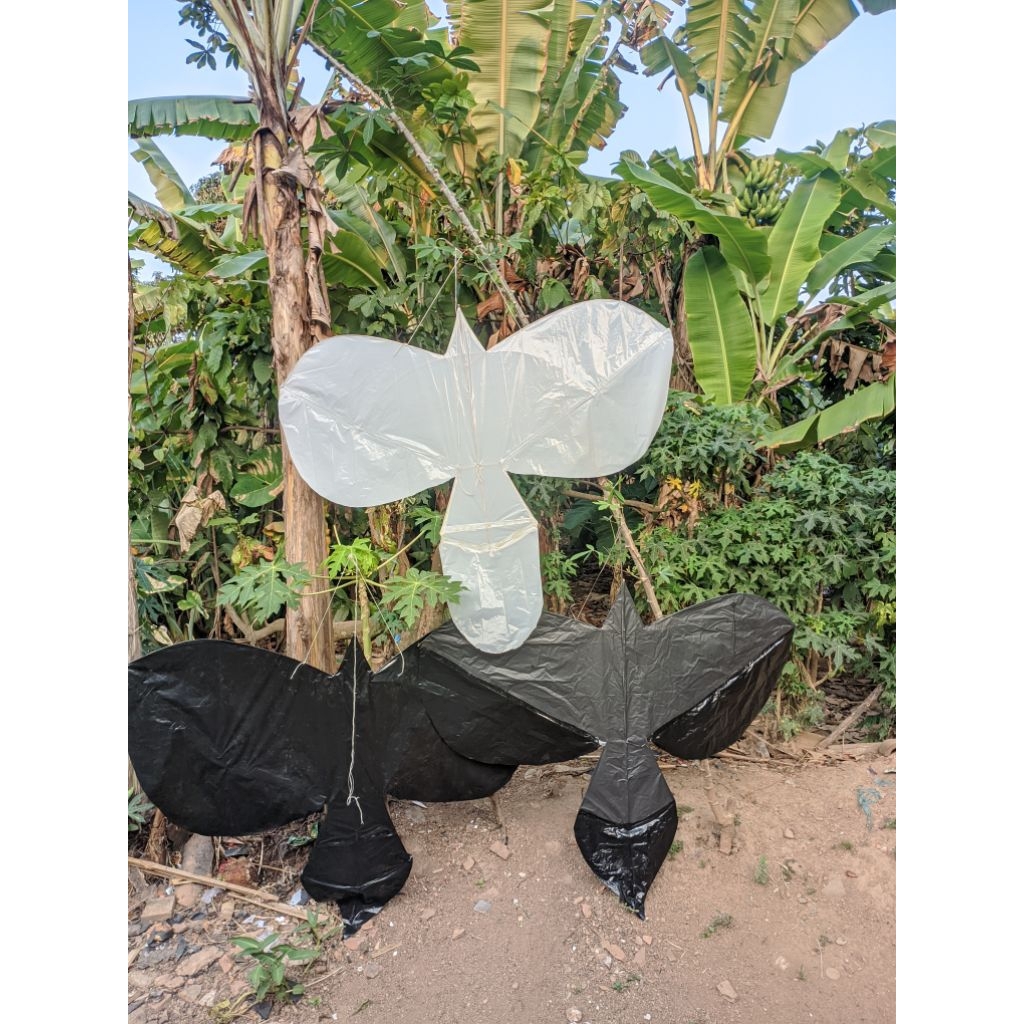 LAYANGAN BURUNG ALAP ALAP  / LAYANGAN SIKEP BALI