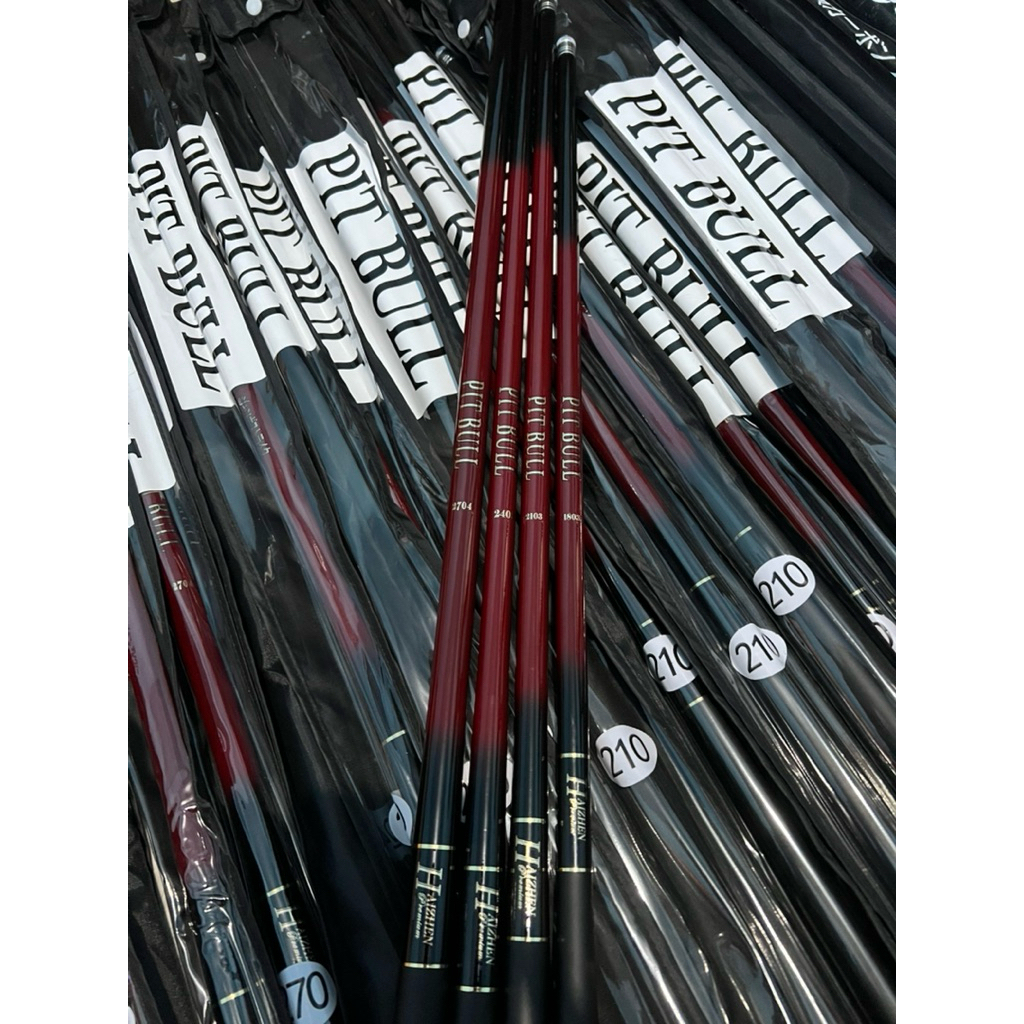 pitbull joran tegek haizen pitbull