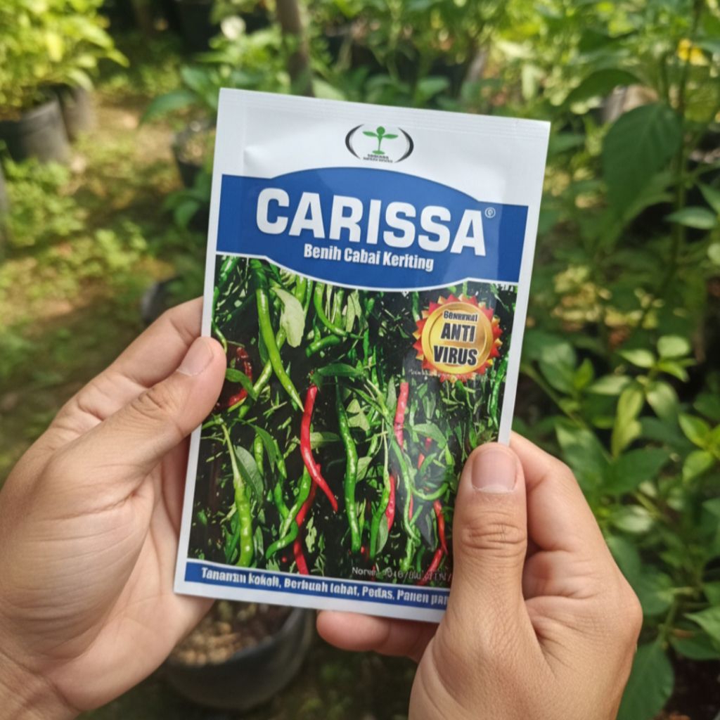 benih bibit cabe keriting lokal  anti virus CARISSA 10 gr