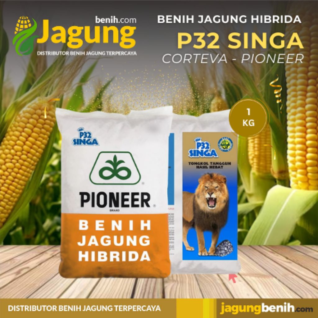 BENIH JAGUNG HIBRIDA PIONEER 32 SINGA KEMASAN 1KG ORIGINAL