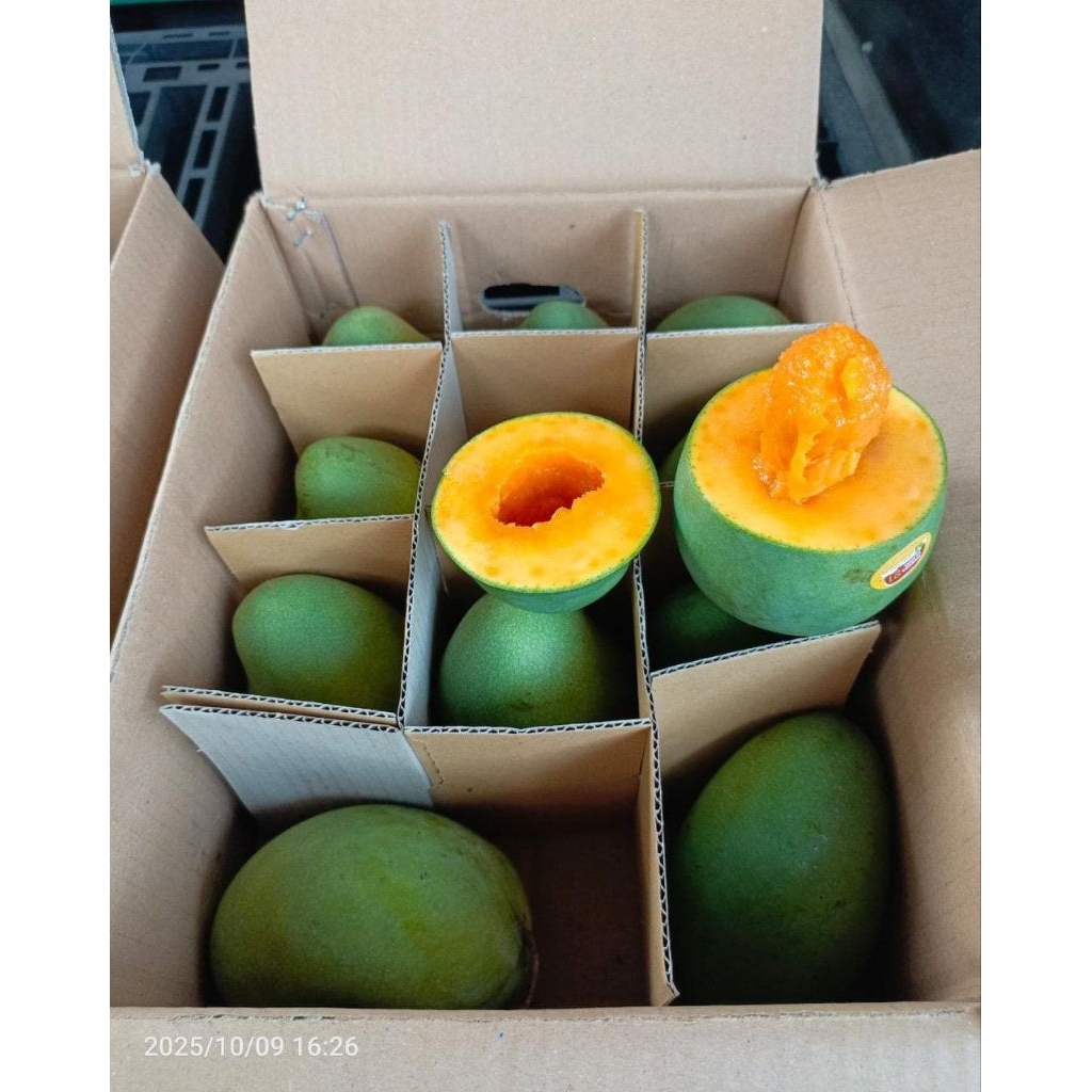 Mangga alpukat original bangil 100% Matang Pohon