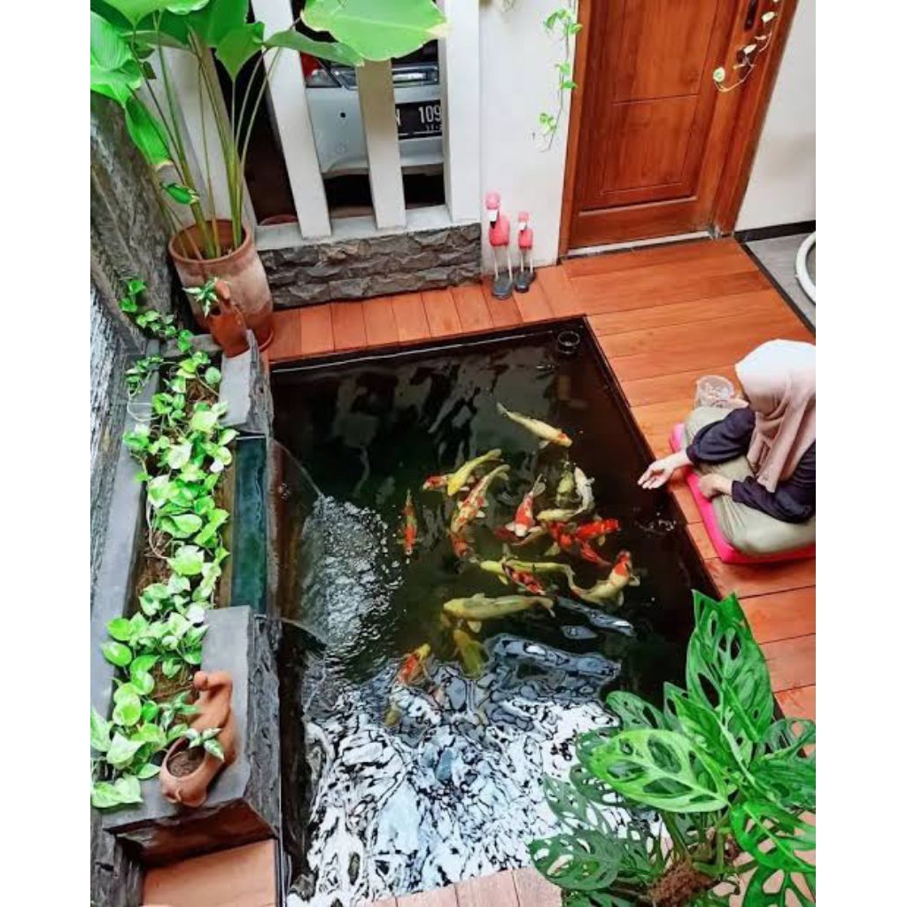 jasa pembuatan kolam koi
