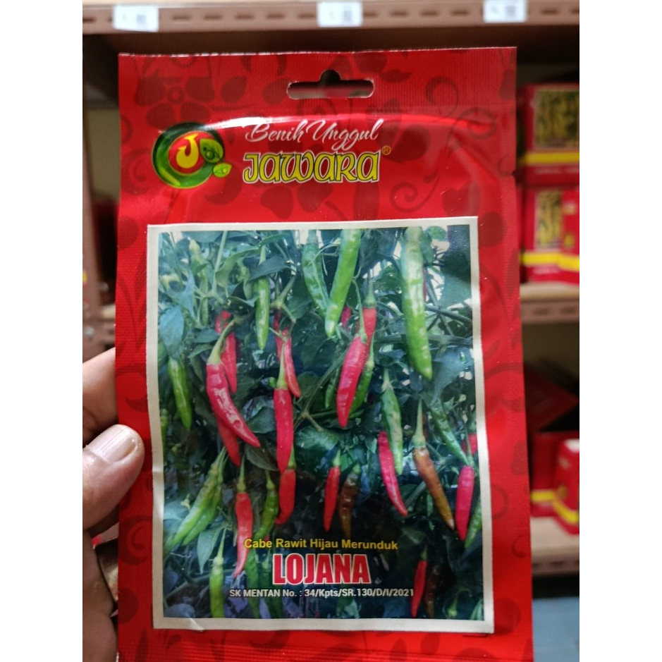 Benih Cabe Rawit Hijau LOJANA JAWARA 5g Unggul 98%