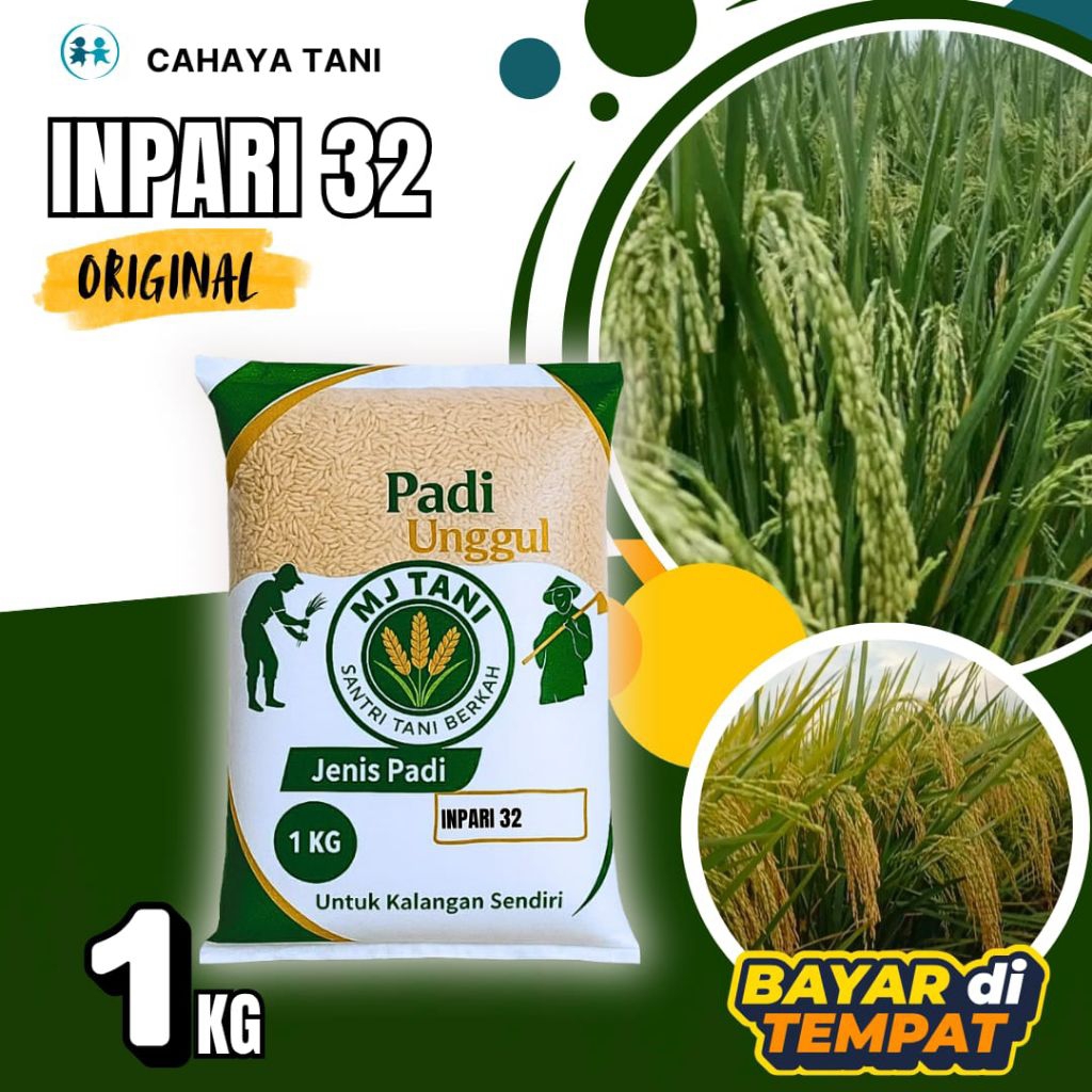 Benih Padi Unggul Inpari 32 1kg