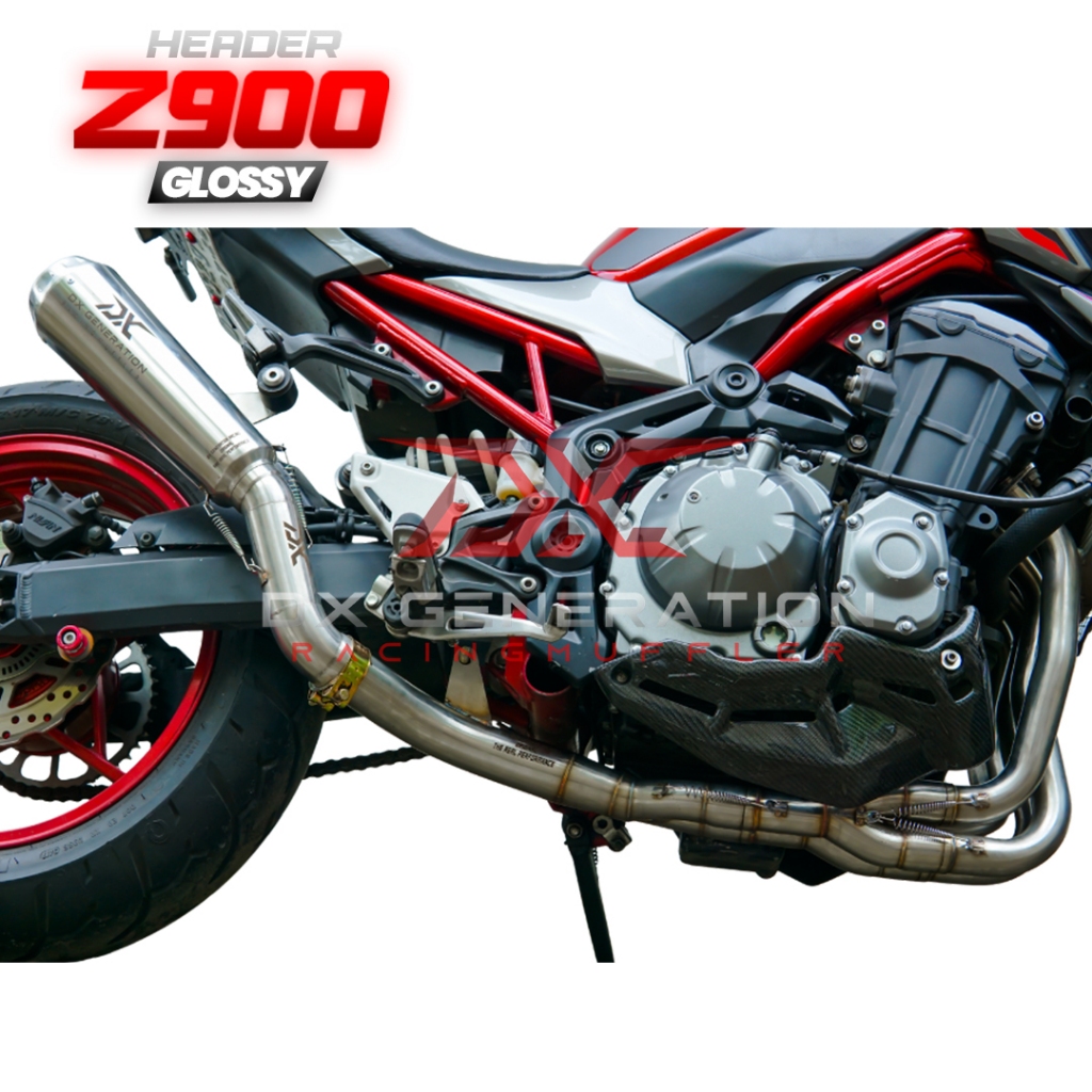 Knalpot Pro Race Fullsystem DX Generation Racing Z900