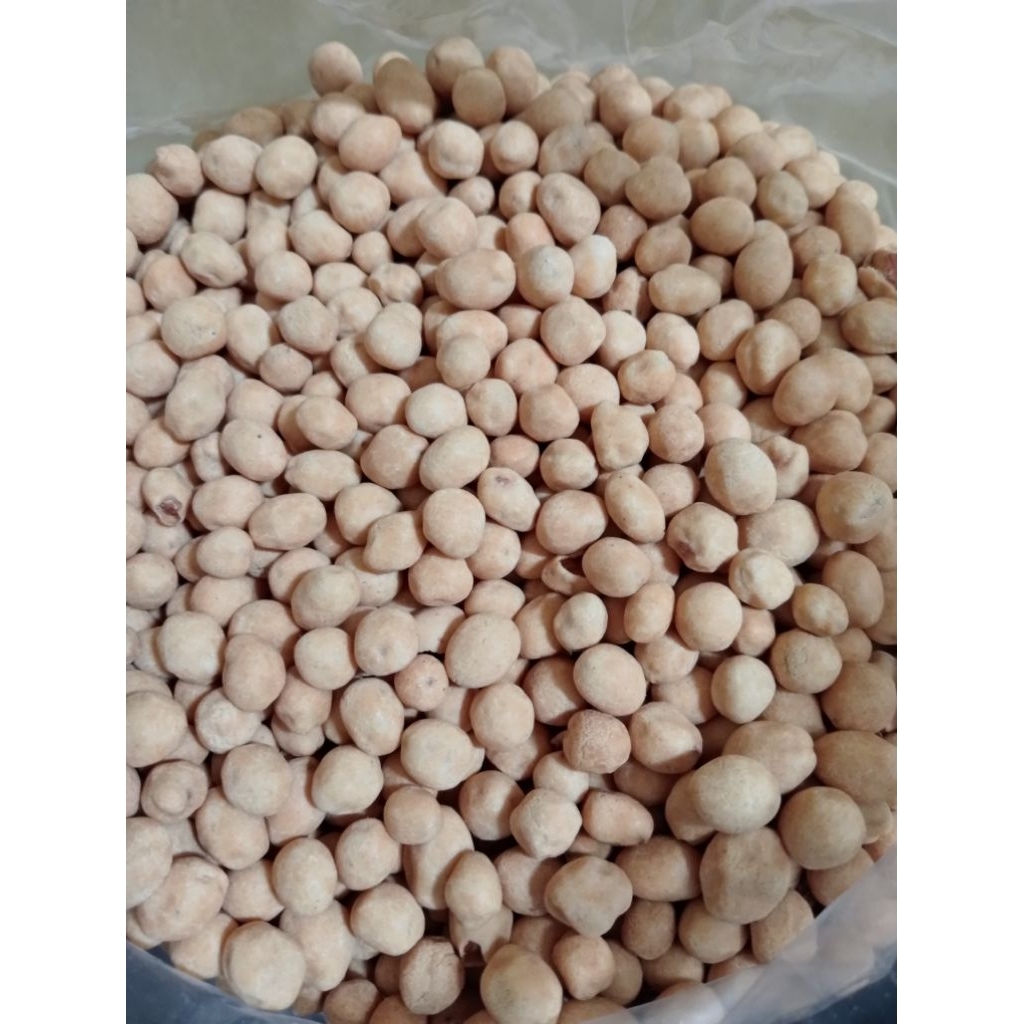 KACANG ATOM KILOAN