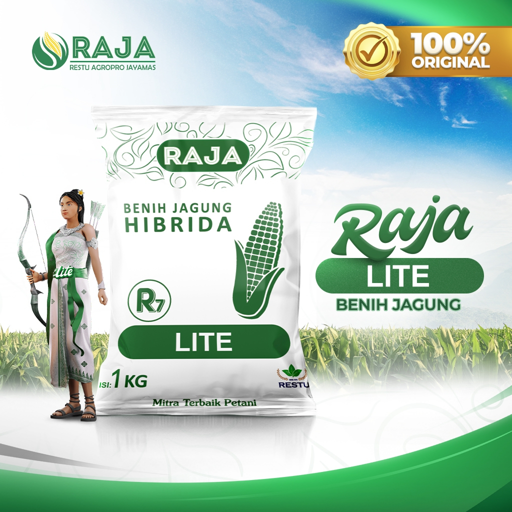 Benih Jagung Hibrida Raja R7 Lite - 1 kg Pouch