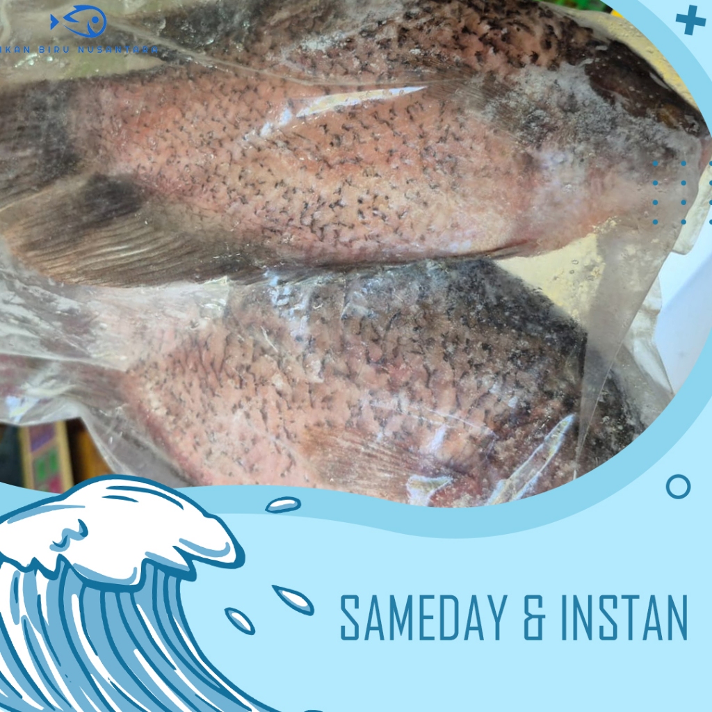 Ikan Gurame Bersih (Fresh Frozen Quality) - 1kg