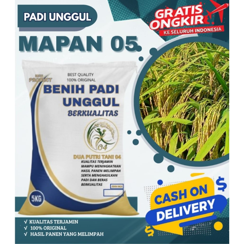 benih padi mapan 05 bibit unggul kemasan 5kg