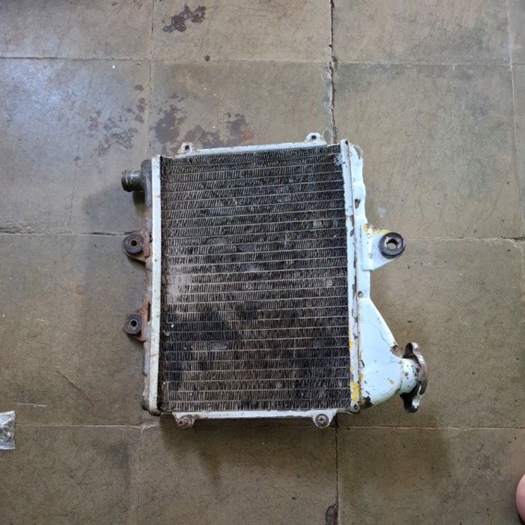 radiator ori ninja r