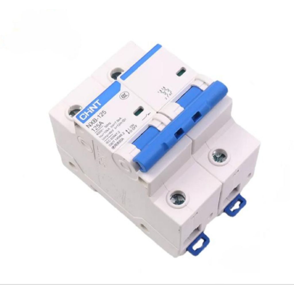CHINT MCB NXB - 125 series 2P 10kA 80A