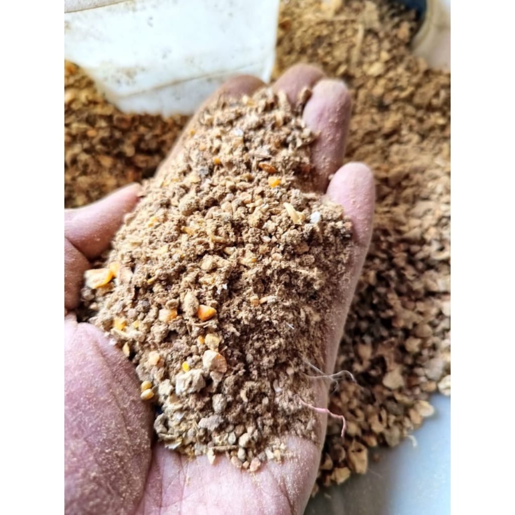 Pakan ternak Ayam petelur 5 kg Sienta