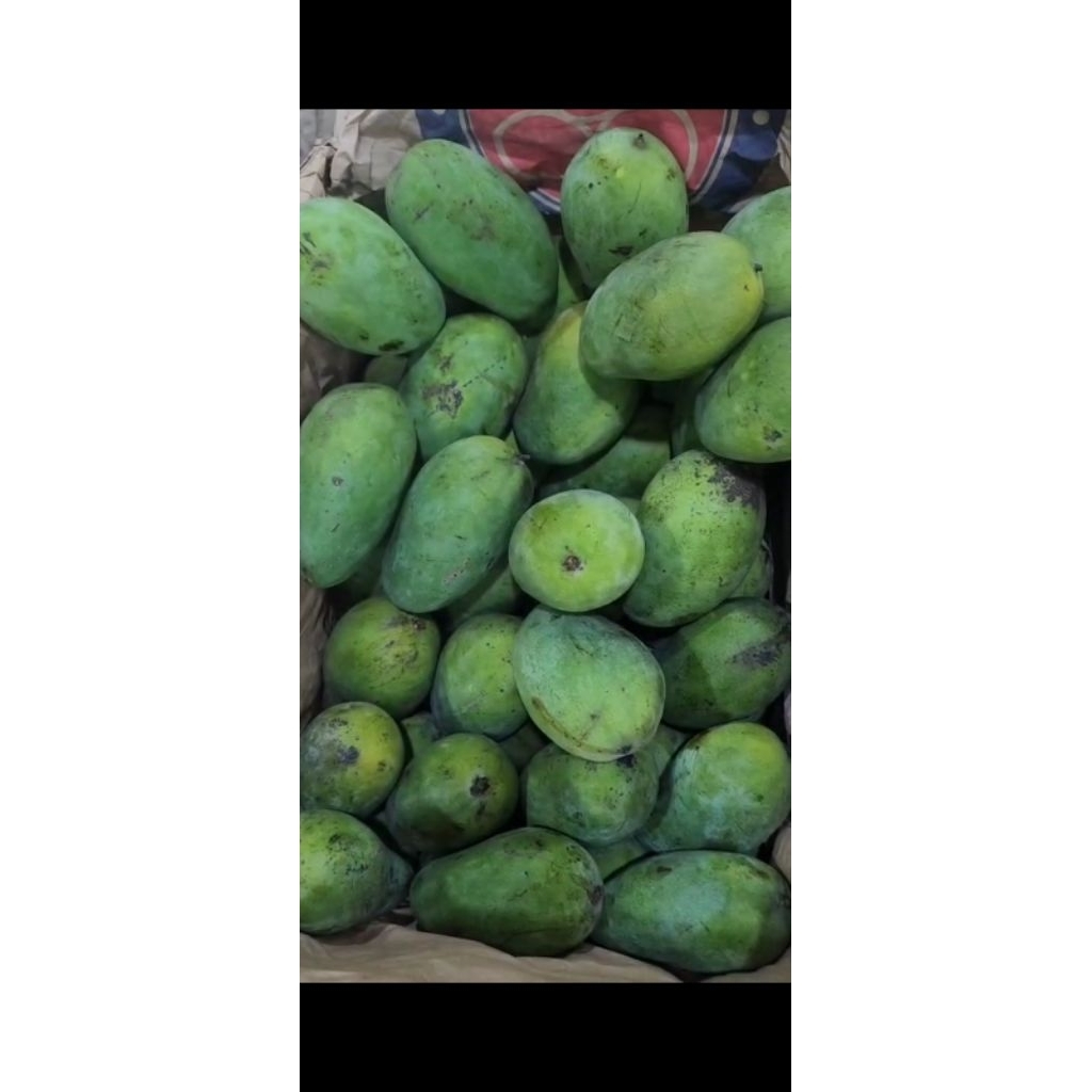 MANGGA HARUM MANIS 1 KG