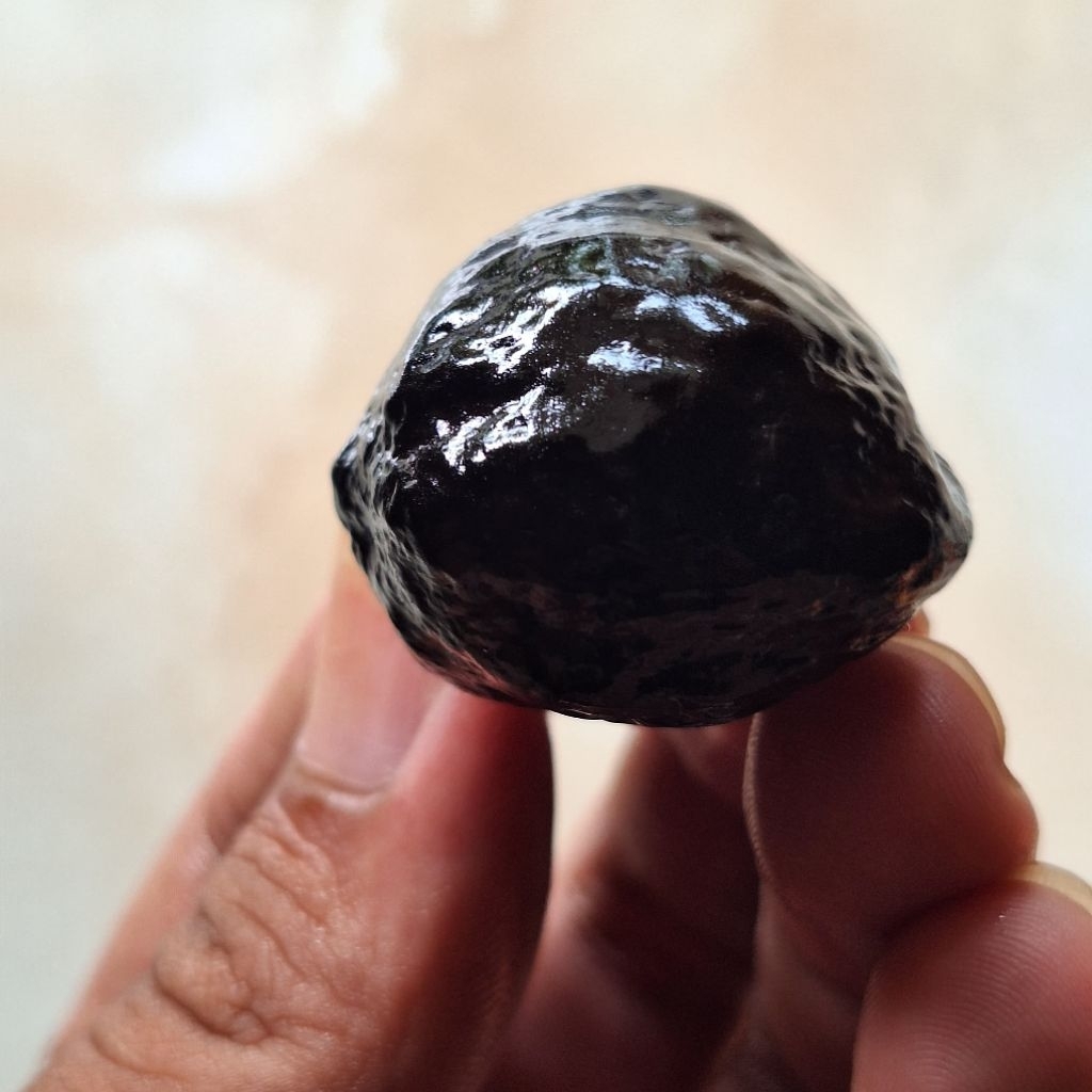 MUNCANG ADU JENIS  ANAK SI MEDMEX KOJOAN