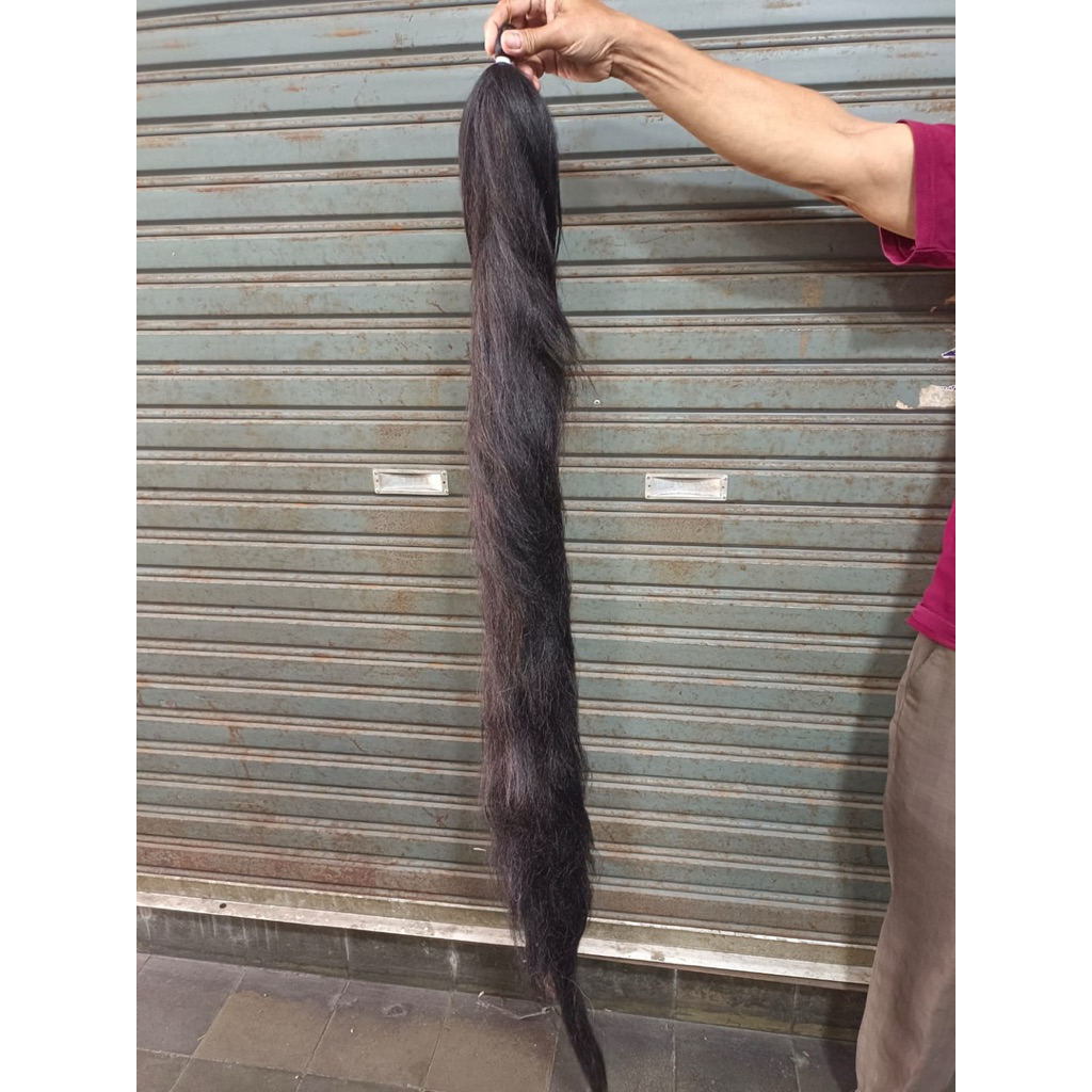 Rambut cemara tanpa tulang