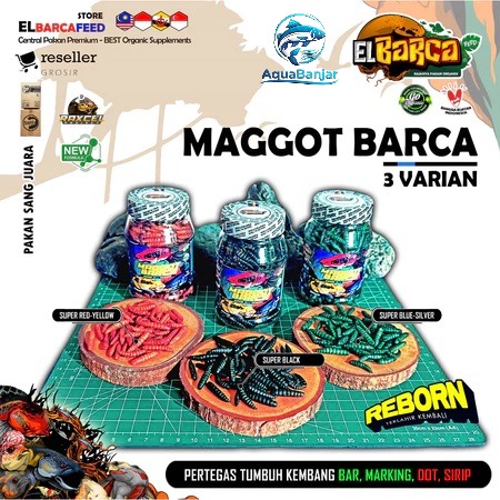 MAGGOT BARCA SUPER BLACK Booster Bunga Solid Pakan ikan predator channa pertegas bar marking dot