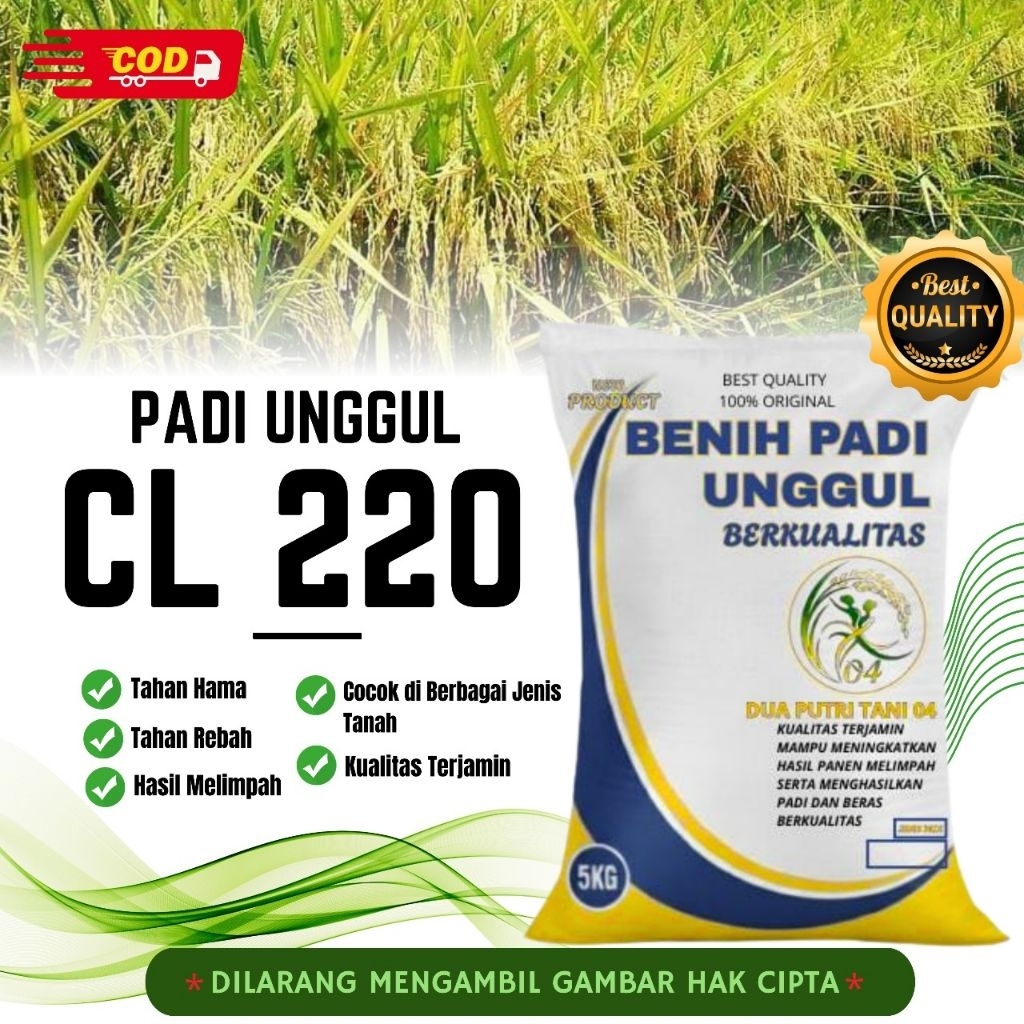 bibit PADI CL220 BIBIT UNGGUL kemasan 5kg