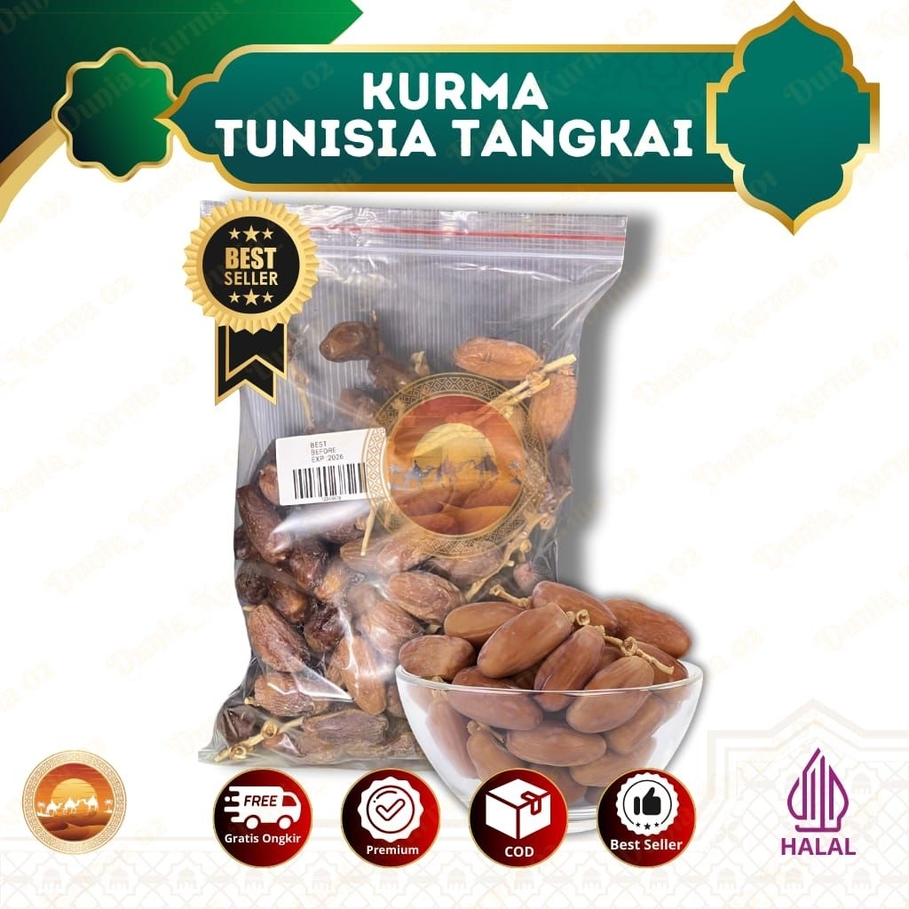 Kurma Tunisia Tangkai Palm Frutt 1 kg Kurma Palm Fruit Tangkai