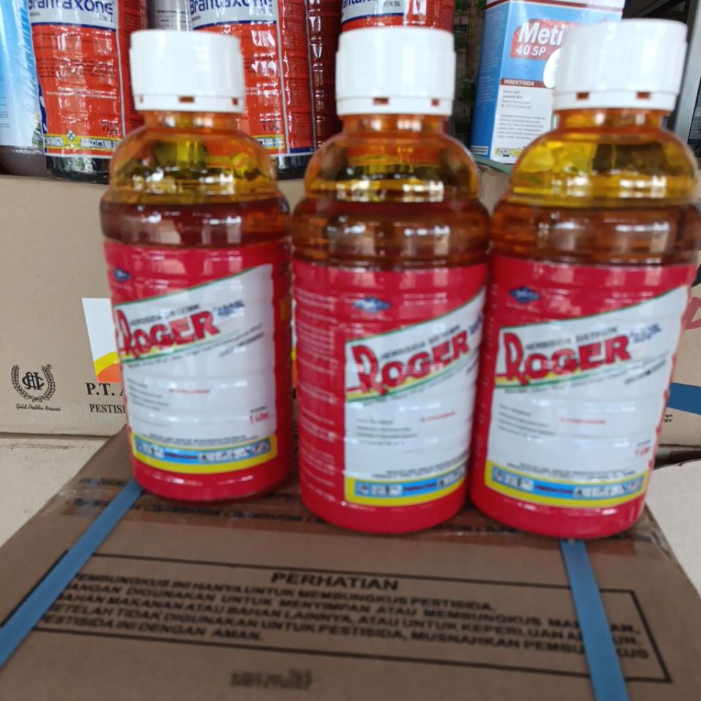 roger 480 sl herbisida sistemik