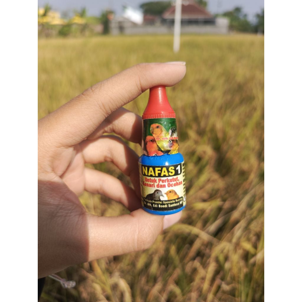 NAFAS 1- Untuk Perkutut, Kenari, dan Ocehan OBAT KICAU BURUNG/ harga per 1 pcs