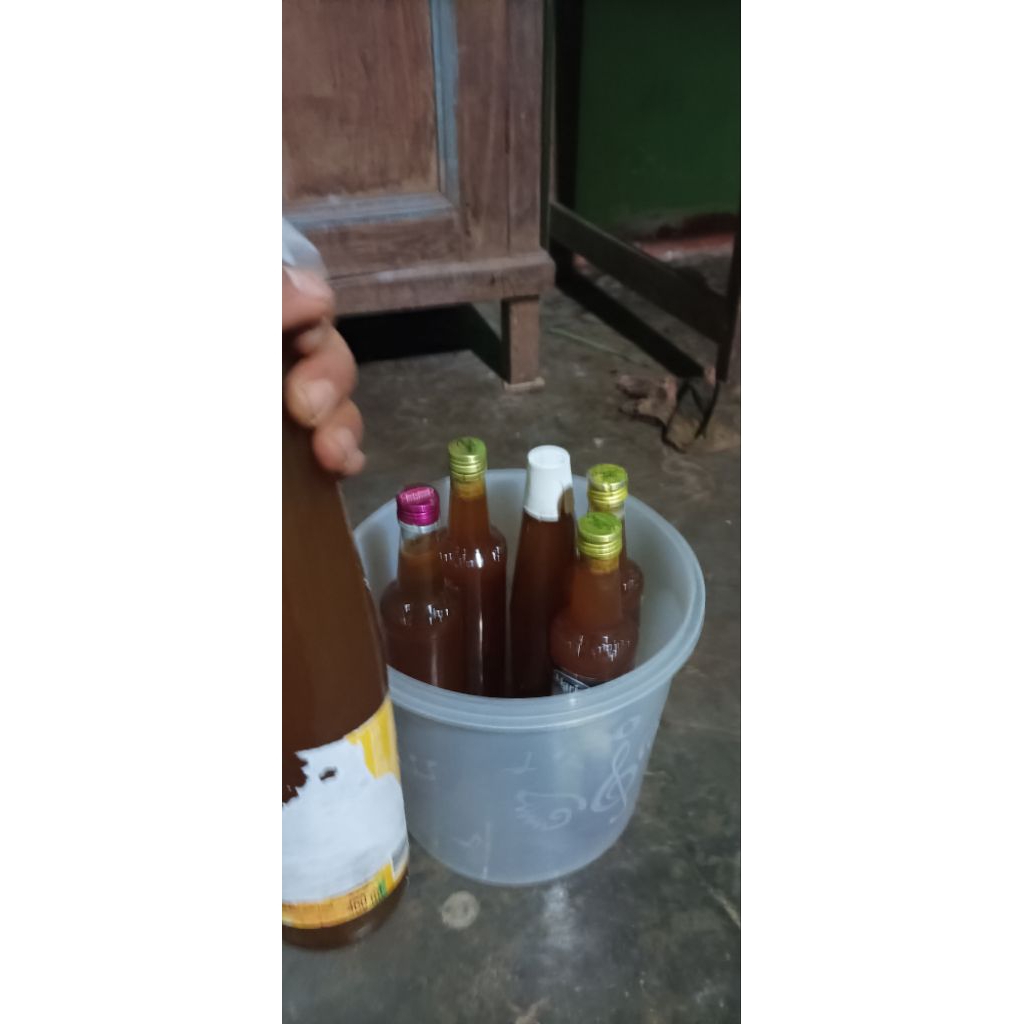 madu tawon gung asli