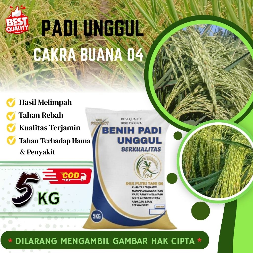 Benih padi unggul CAKRABUANA kemasan 5Kg