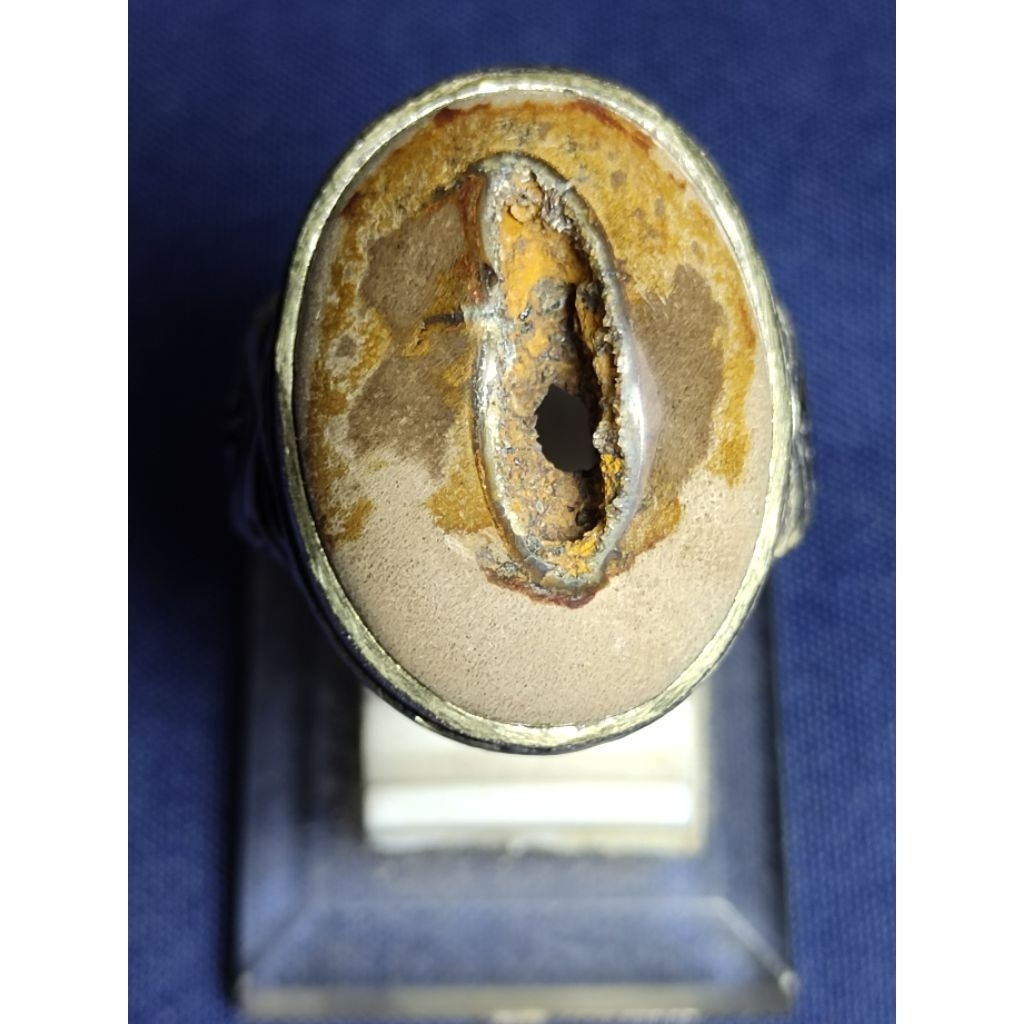 Natural Petrified Wood / Batu Fosil Kayu, COMBONG SAKRAL