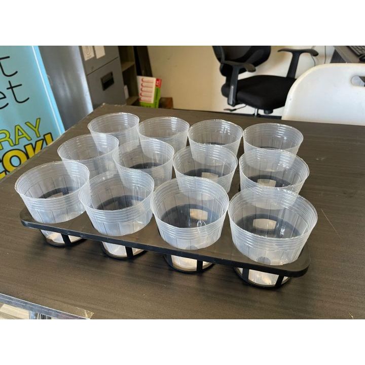 Soft pot anggrek remaja