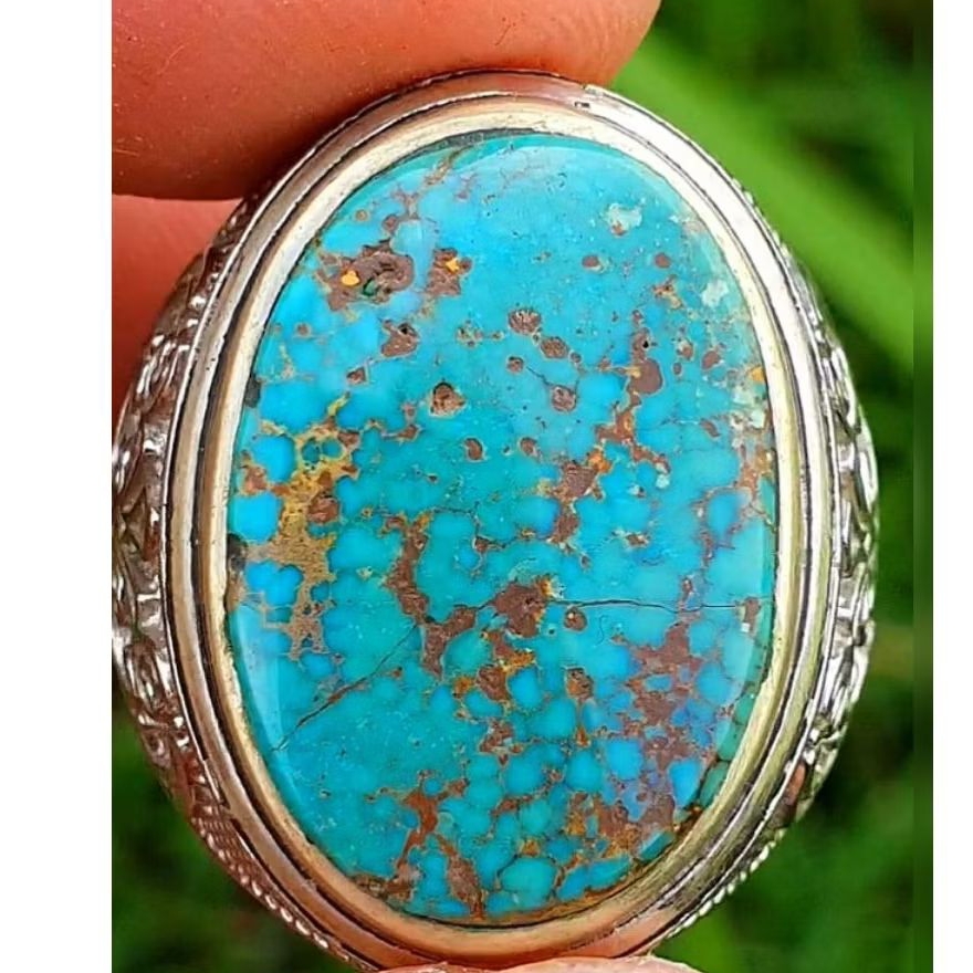 PIRUS PERSIA NATURAL KUALITAS SUPER