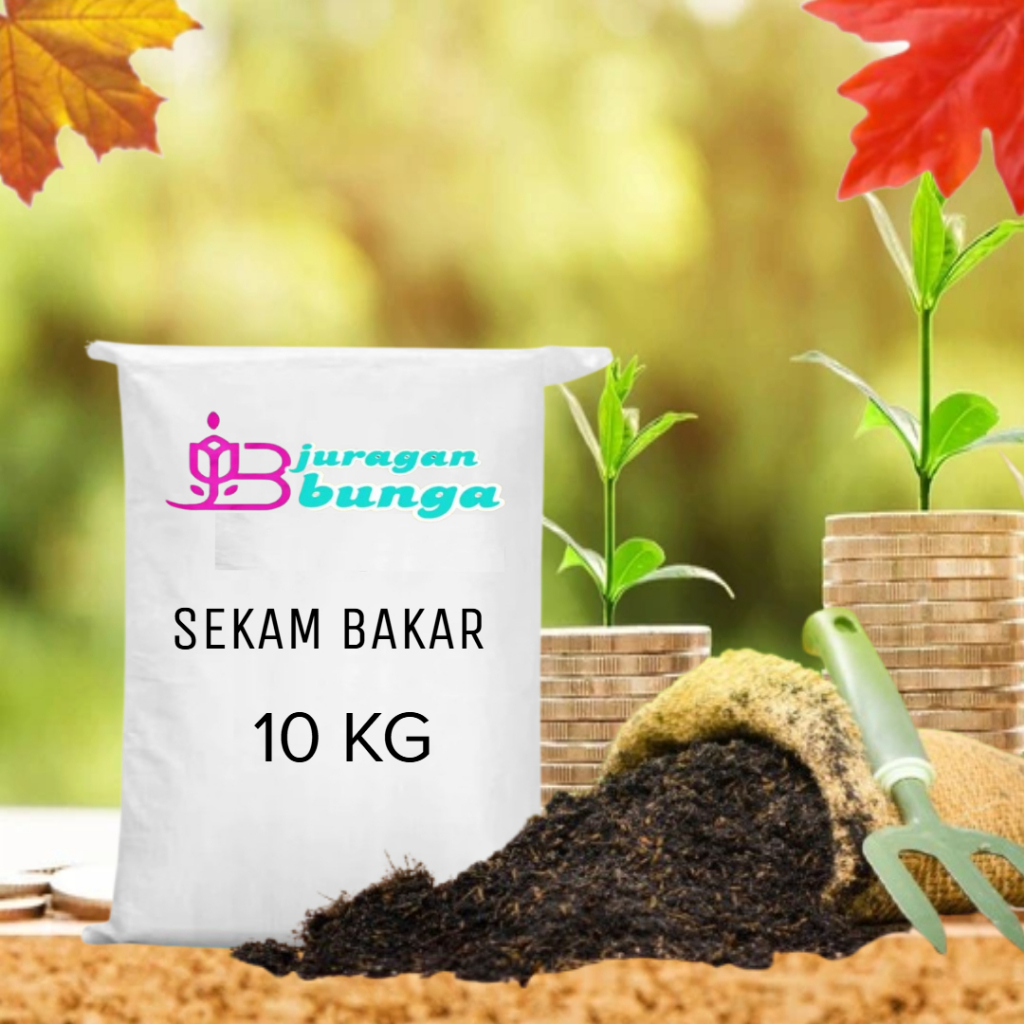 arang sekam / sekam mentah