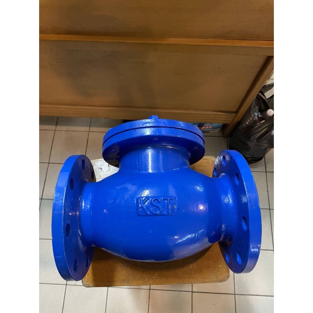 Check valve 4 inch jis 10K cast iron swing check valve 4 inch 10K
