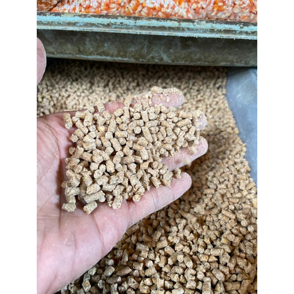 PUR 594 pakan ayam jago 1 kg