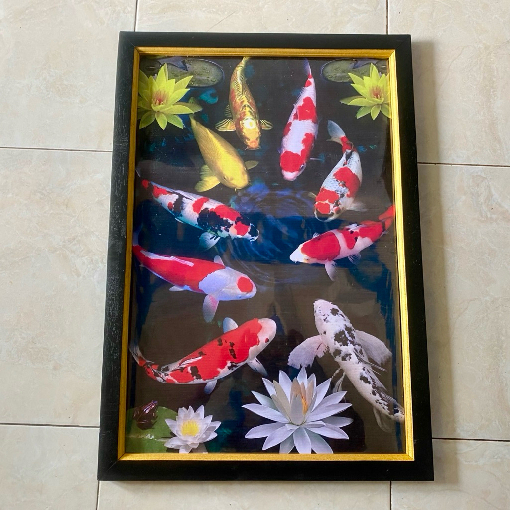 hiasan dinding lukisan cetak ganbar 9 ikan koi dan bunga teratai plus bingkai ukuran 65 x 45 cm