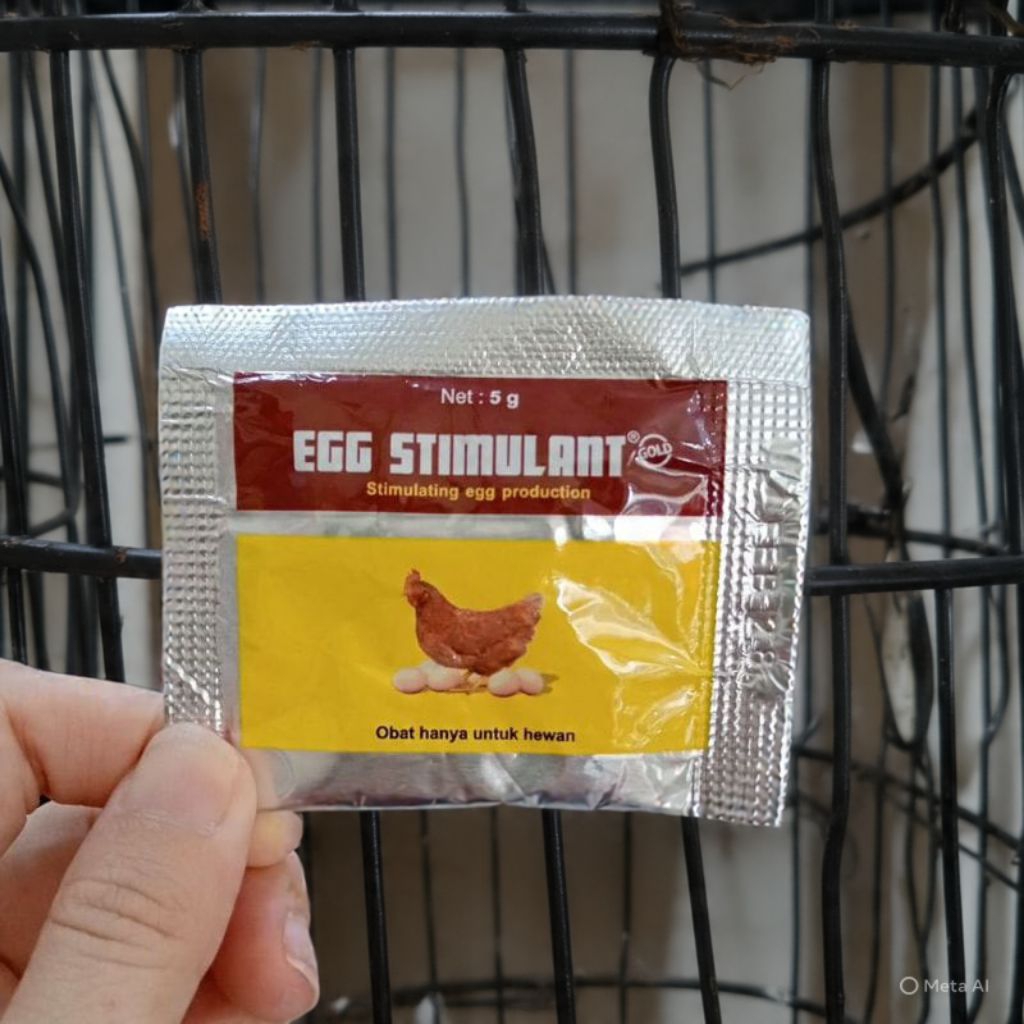 Egg stimulant perangsang ayam petelur