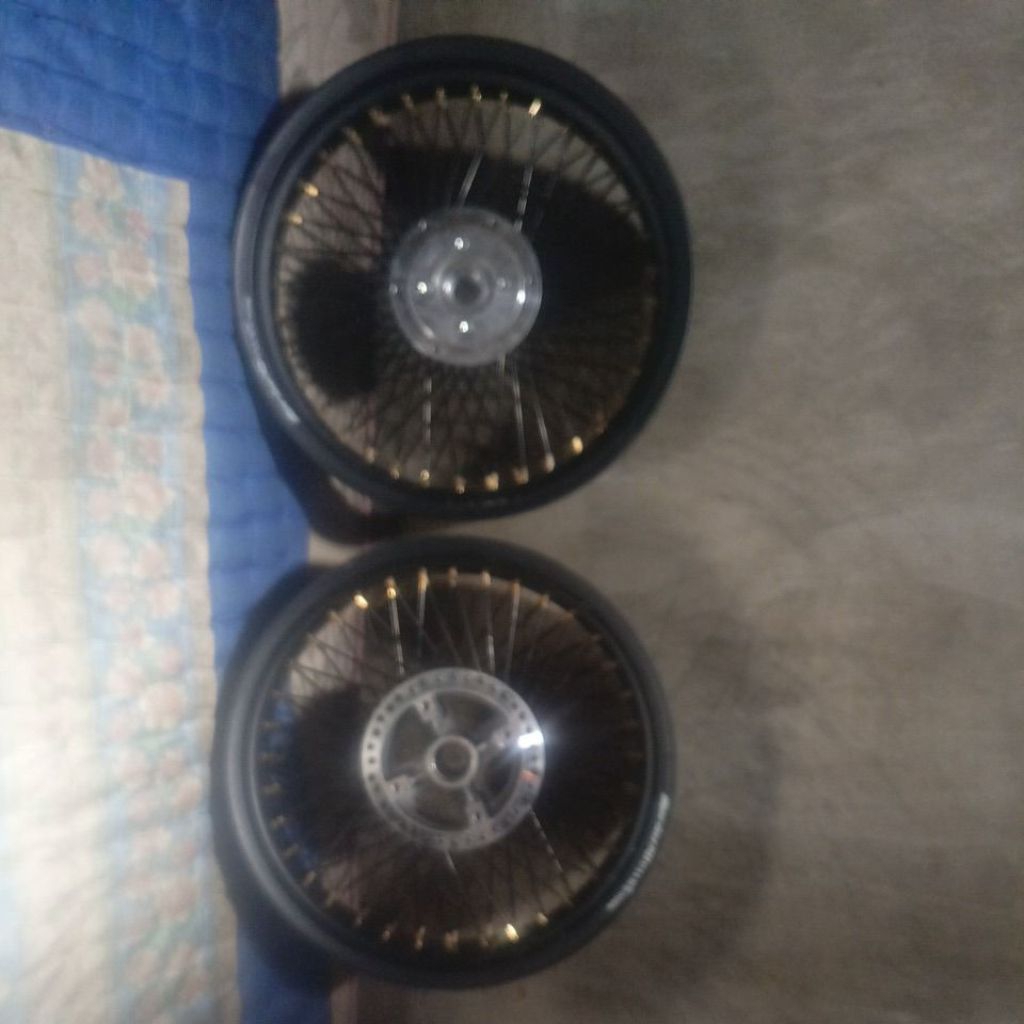 Veleg Tapak Lebar Rossi