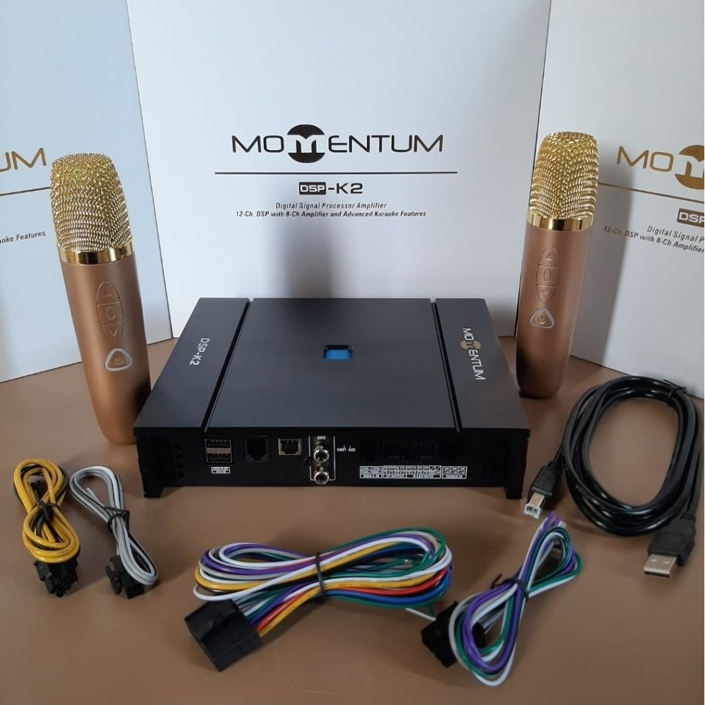 Momentum DSP K2 Processor 12Ch Karaoke Built In Power & Free 2 PCS MIC Wireless