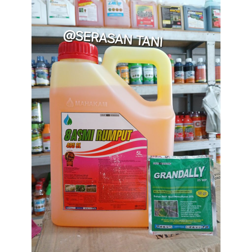 HERBISIDA SISTEMIK BASMI RUMPUT 495SL 5LT