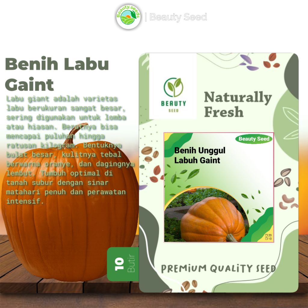 10 Benih Biji Bibit Labu Raksasa - Labu raksasa 10butir kemasan original