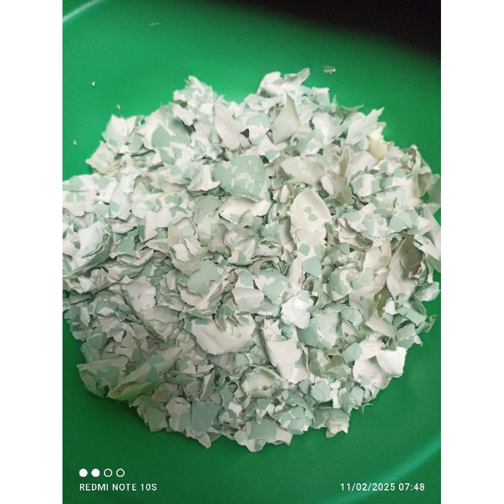 cangkang telur kulit telor eggshell 500gr/ asinan burung merpati murai