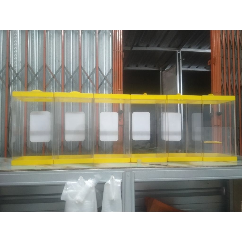 Box Akrilik Es Aquarium