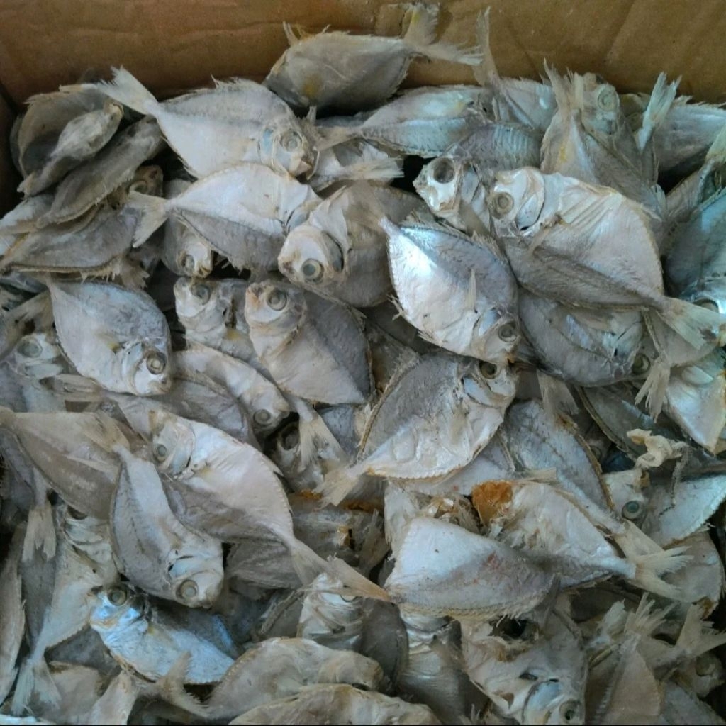 1KG Ikan Asin Petek Ikan Asin Dokdok Gurih