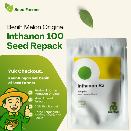 Benih Bibit Melon INTHANON RZ Rijk Zwaan Isi 100 Butir Kemasan Original Rijk Zwaan Pabrik