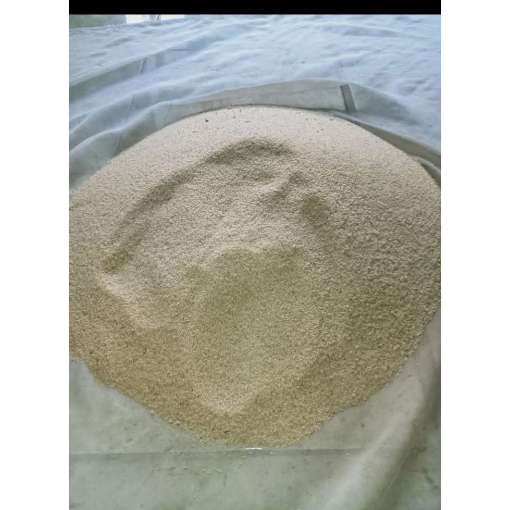 telur jangkrik alam 1 kg