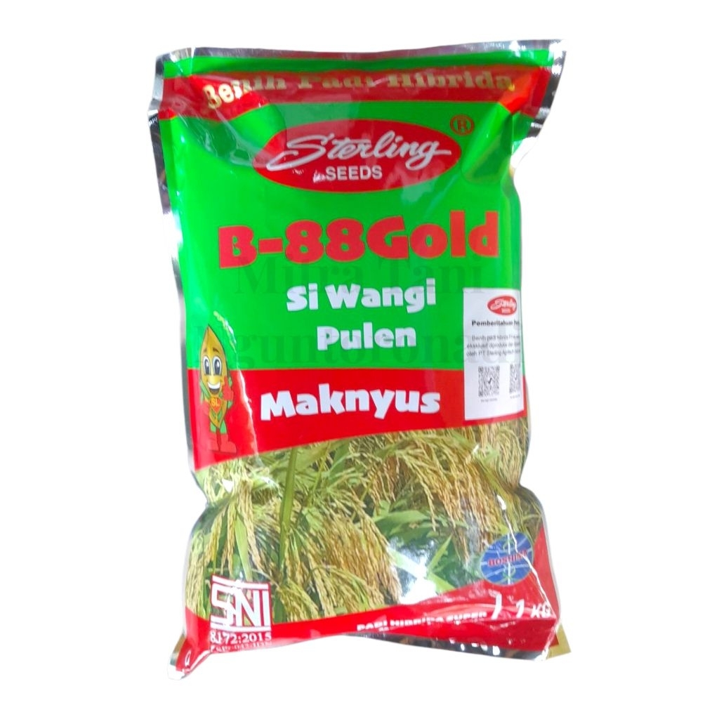Benih Padi Hibrida B-88 Gold Cap Sterling Seeds 1Kg