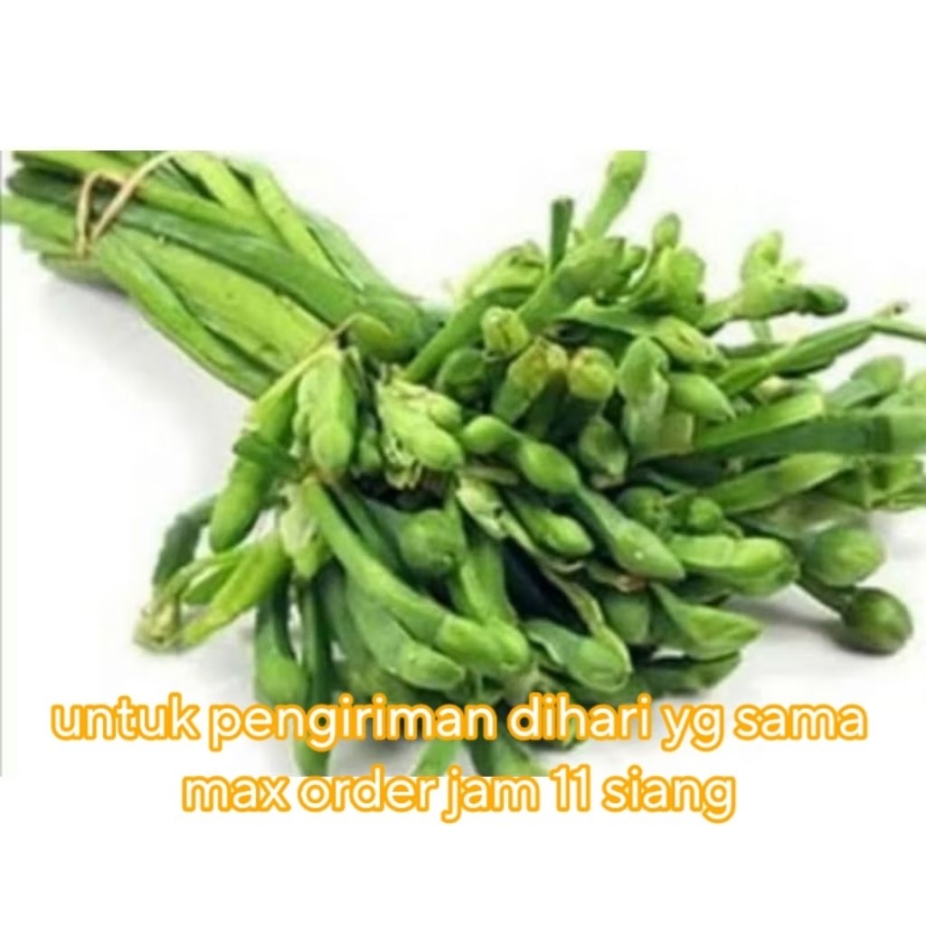 Bunga Genjer,Daun Genjer