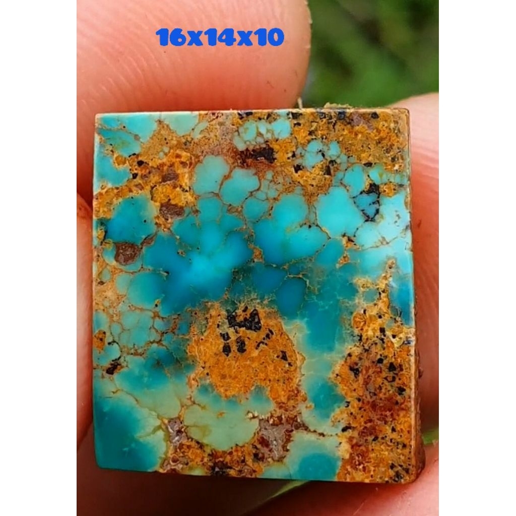 PIRUS PERSIA NATURAL LAWASAN TOP HQ