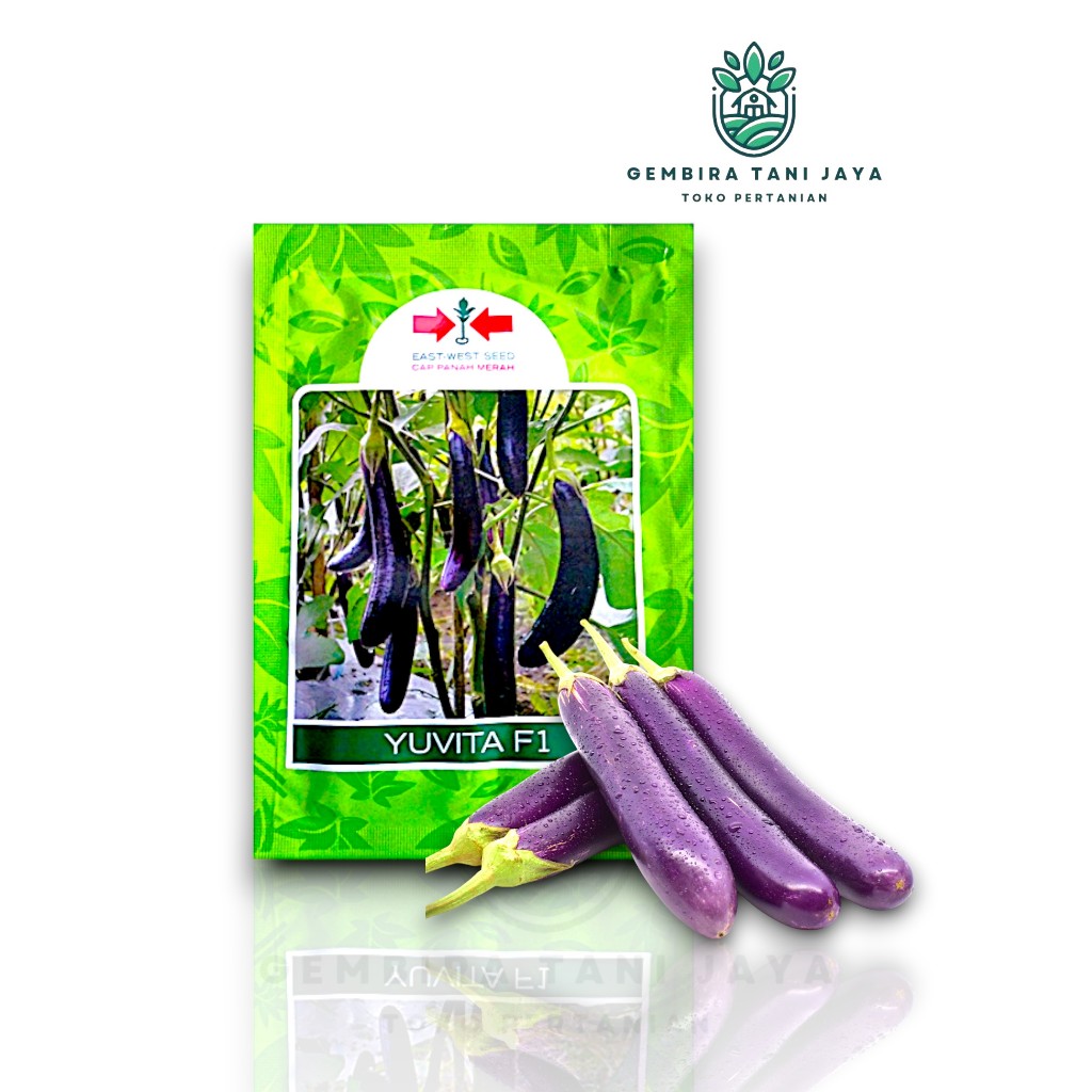 BENIH TERONG YUVITA F1